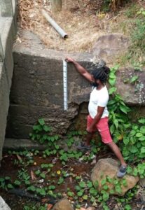 Marigot Community member demonstrates how to use river gauge.