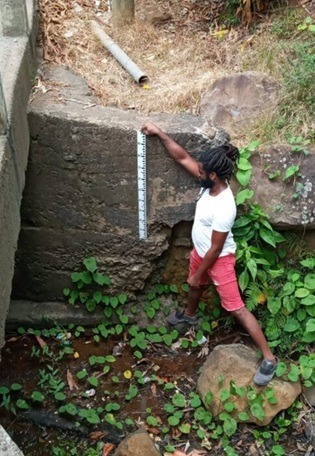 https://manual.anticipatory-action.org/wp-content/uploads/2026/10/Dominica-Case-Study.jpg